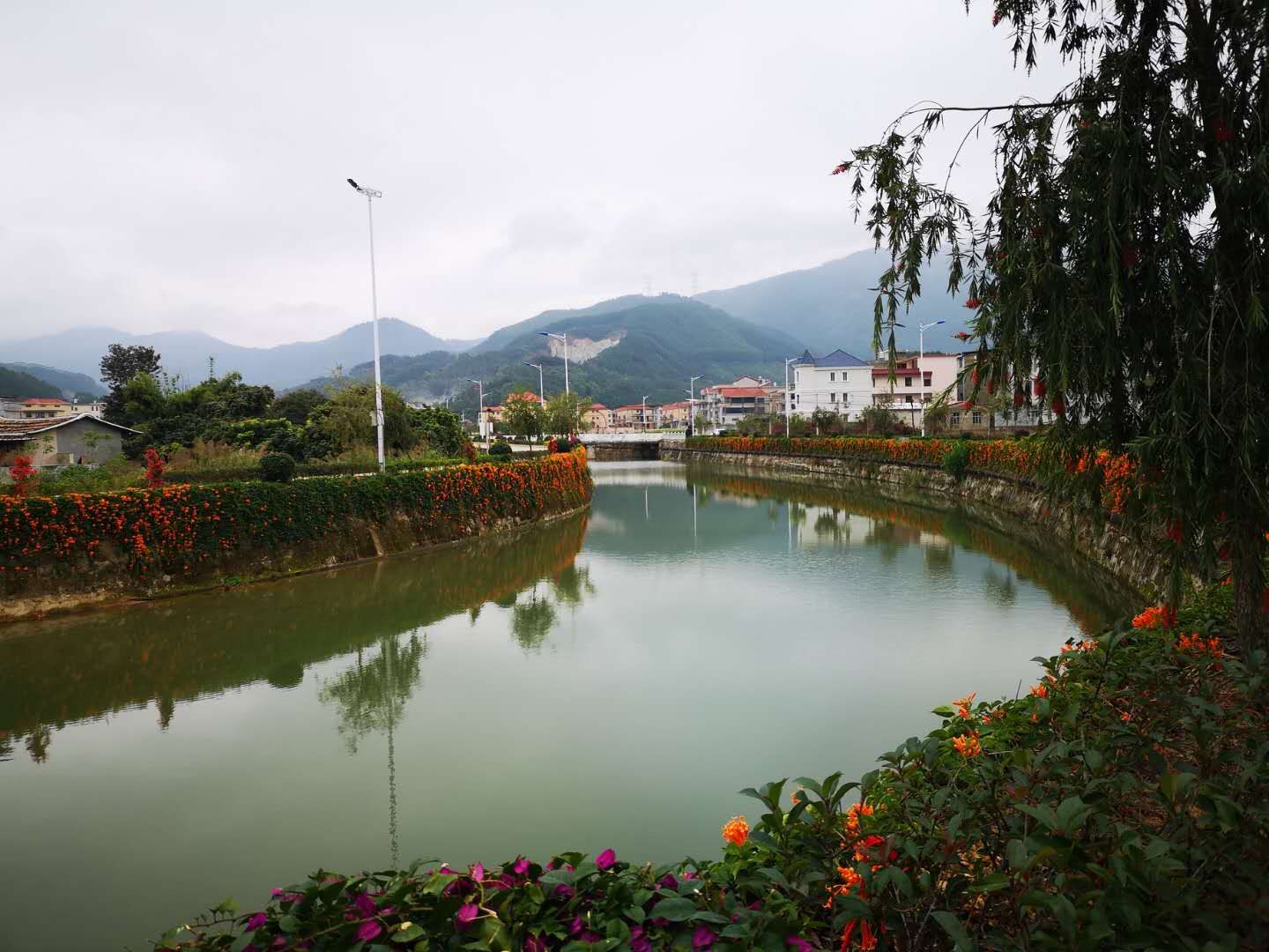 话题详情 实践第一天,小组成员们来到了仙游龙华镇金溪村,金溪村是