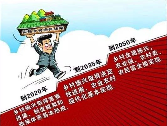 背景:我国十九大明确提出要实施乡村振兴战略,并且分三步走.