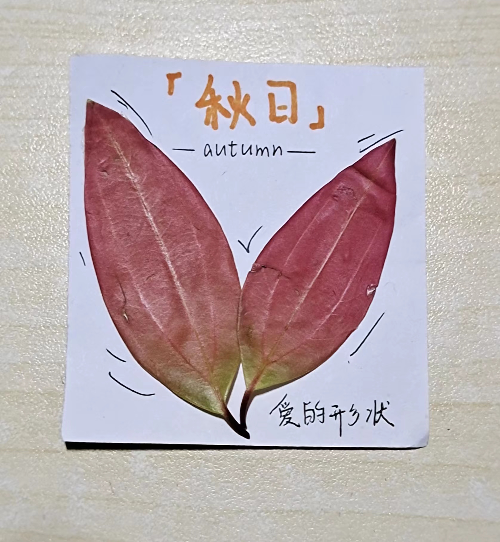 秋风绘影，落叶成诗 - 易班优课